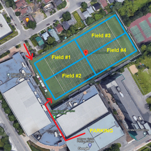 Matt Anthony Ottawa Rec Sports